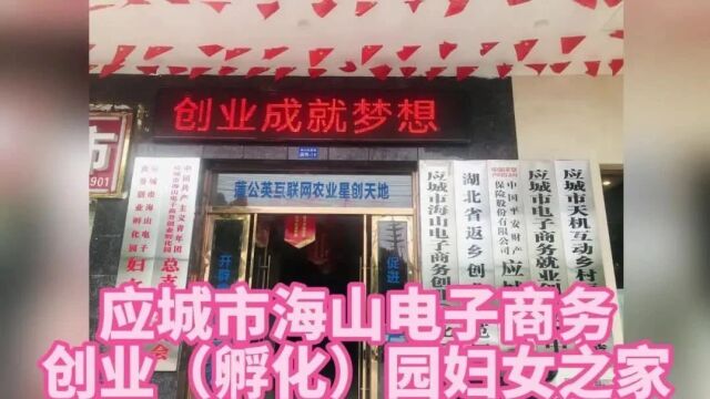 湖北省妇女之家服务效能展示——孝感篇