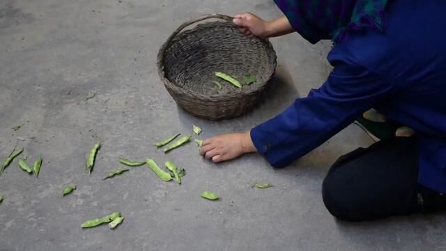 东北油豆角不一样的吃法,用带虫子的豆角做冒泡豆角能更好吃? #乡村味道 #乡村美食 #东北油豆角