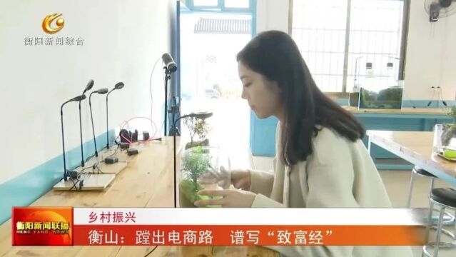 乡村振兴 衡山:蹚出电商路 谱写“致富经”