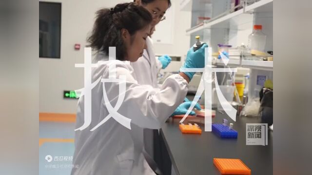 广东如何推进河套深港科技创新合作区深圳园区建设?这场发布会干货满满