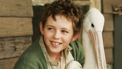 电影：男孩意外救下了三只雏鸟，当遇到灾难时，大鸟会舍命救主人，18分钟看完《鹈鹕的故事》