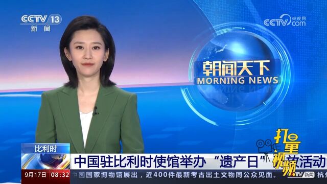 中国驻比利时使馆举办“遗产日”开放活动,展示中国丰厚文化资源