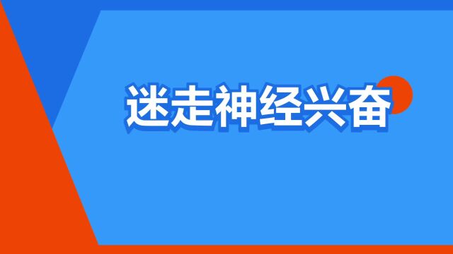 “迷走神经兴奋”是什么意思?