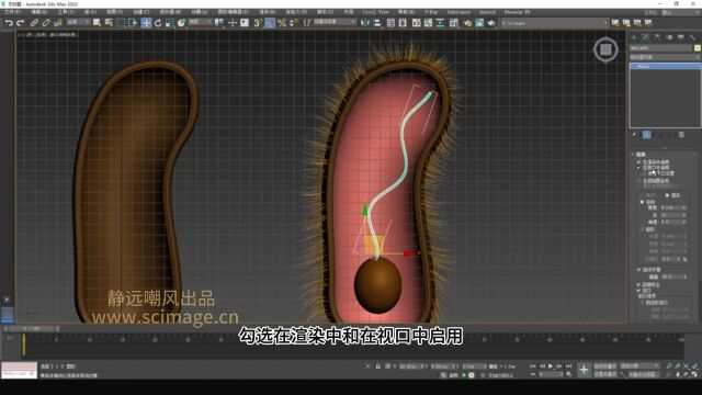 【SCI科研制图教程】如何做大肠杆菌(下)(3Dmax软件)【宋元元博主】