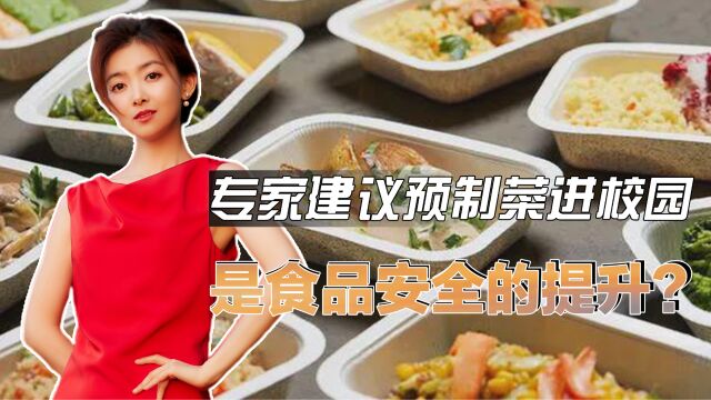 预制菜进校园,是食品安全的提升?专家建议学校引进预制菜