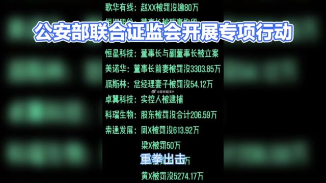 公安部联合证监会开展专项行动