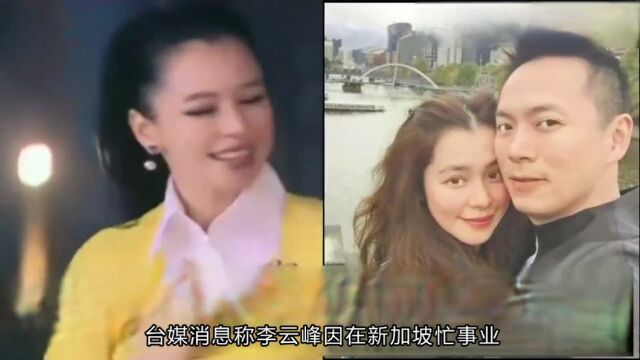 徐若瑄官宣离婚,曾为保胎熬300多针,称无法克服双方的差异