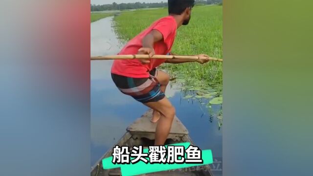 户外抓鱼男子船头用钢叉戳鱼.