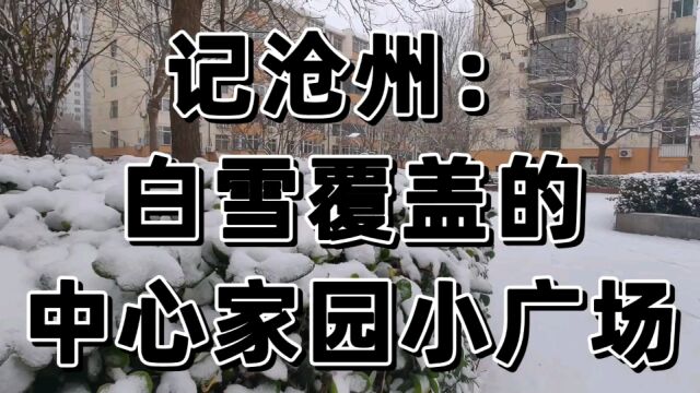 记沧州:白雪覆盖的中心家园小广场