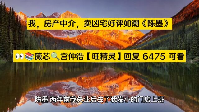 我,房产中介,卖凶宅好评如潮《陈墨》小说TXT阅读○完整章节