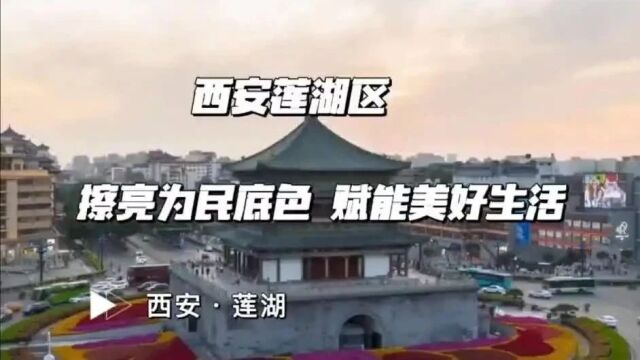 莲湖区:擦亮为民底色 赋能美好生活