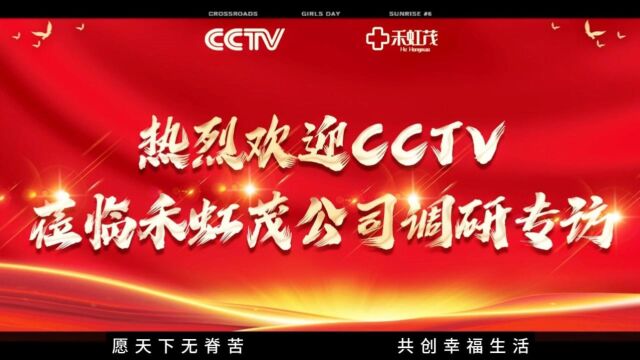 热烈欢迎央视CCTV莅临禾虹茂公司调研专访