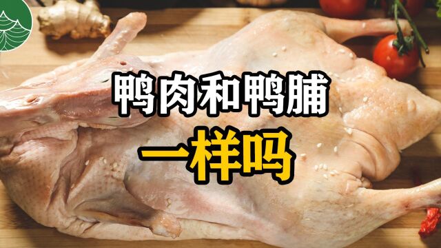 鸭肉和鸭脯一样吗?