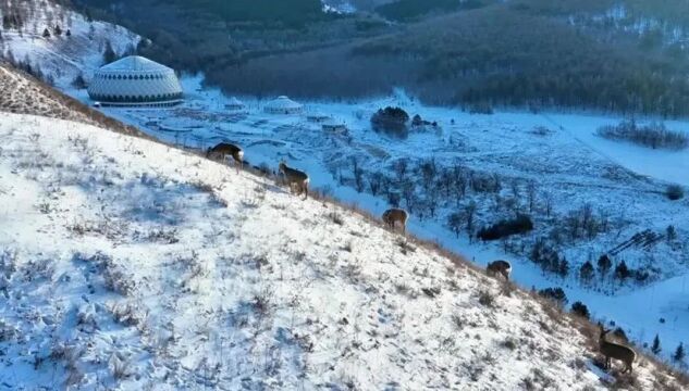 新闻早知道 掌上听天下〔2023.12.16〕