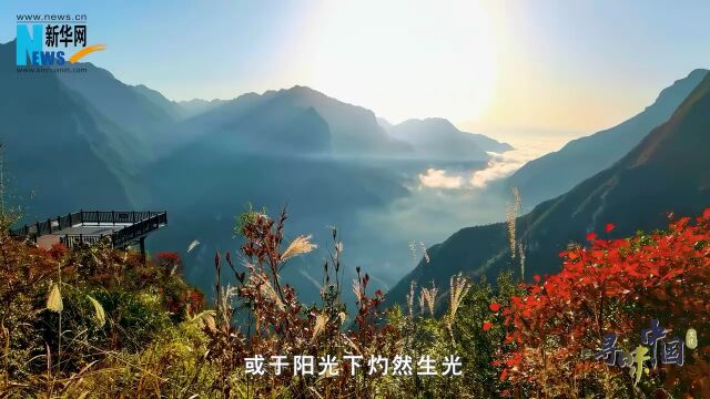 寻味中国丨在长江三峡邂逅漫山红叶