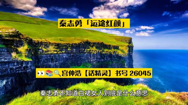 必读职场热书秦志勇「运途红颜」精选热门小说阅读●分享版