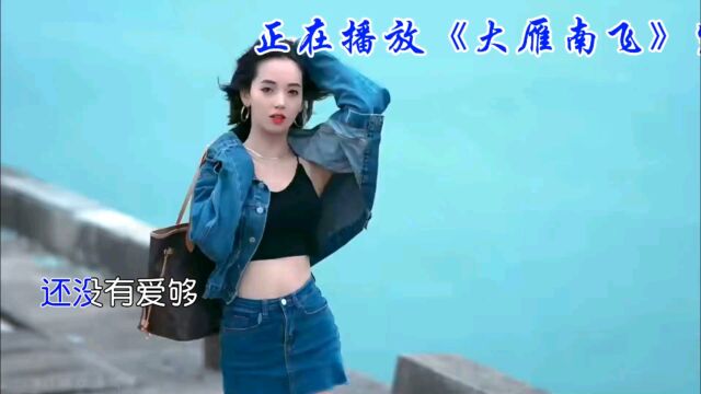 音乐分享《大雁南飞》让你感受最真挚的爱意