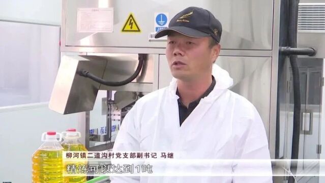 柳河镇:特色产业助推村集体经济可持续“造血”丨乡村行 看振兴