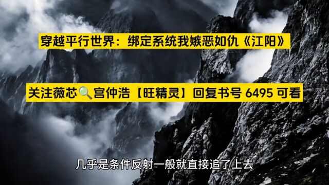 穿越平行世界:绑定系统我嫉恶如仇《江阳》全新热门小说○在线阅读