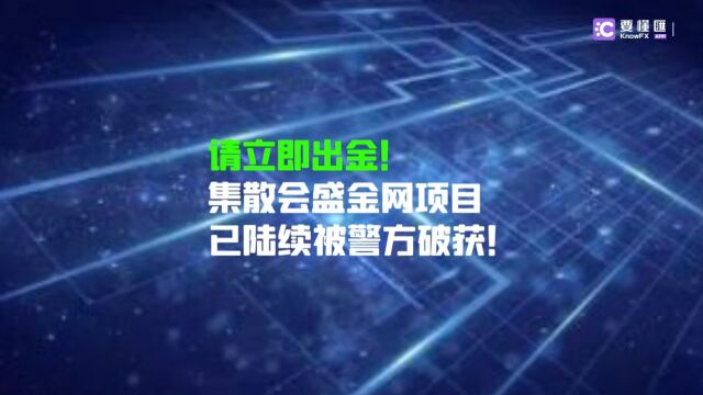 要懂汇:请立即出金!集散会盛金网项目已陆续被查!