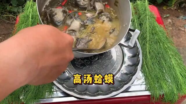 蛤蟆滋补养身汤