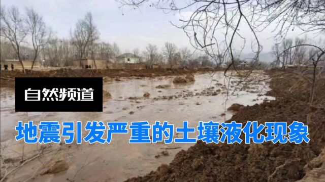 地震后的可怕现象,什么是土壤液化?带你了解沙涌背后的原理