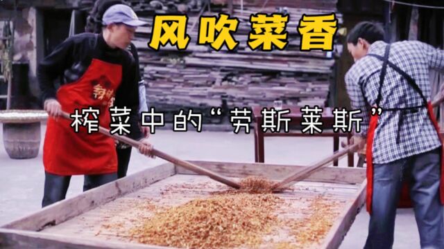 世界三大名菜之一,传承一百多年,看完你也会制作经典的涪陵榨菜