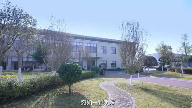 岳阳市公路系统“最美公路”“最美公路站”“最美公路人”评选——云溪篇