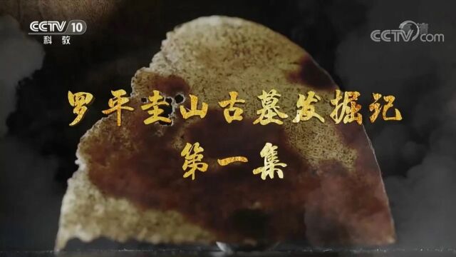 完整版!央视《探索ⷥ‘现》播出罗平圭山古墓发掘记…