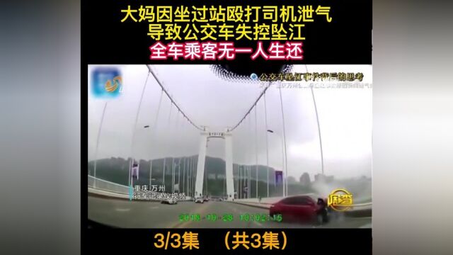 大妈因坐过站殴打司机泄气导致公交车失控坠江全车乘客无一人生还#下集更精彩 3