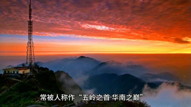 桂林猫儿山旅游攻略