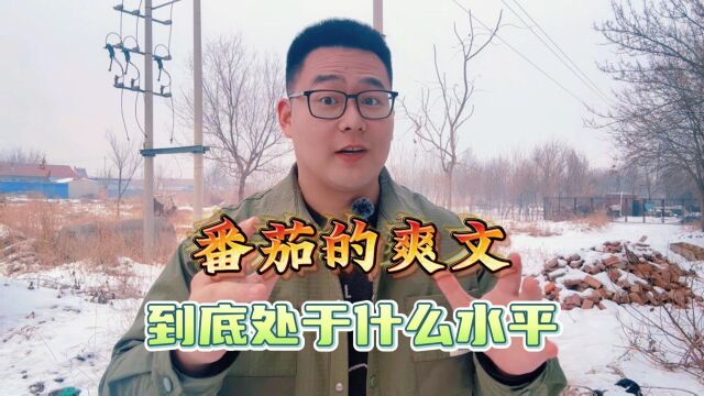 番茄的爽文到底处于什么水平?以中国所有戏曲为基础,为诸天送葬