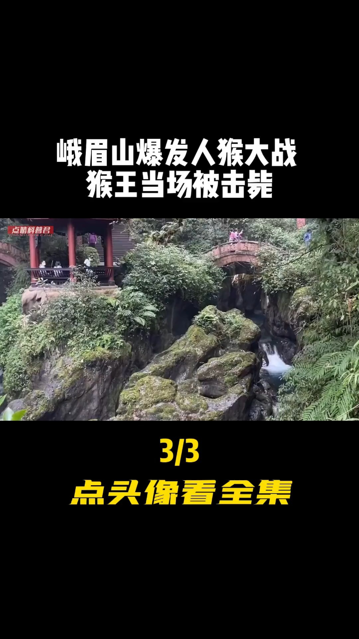 成都峨眉山猴王枪毙图片