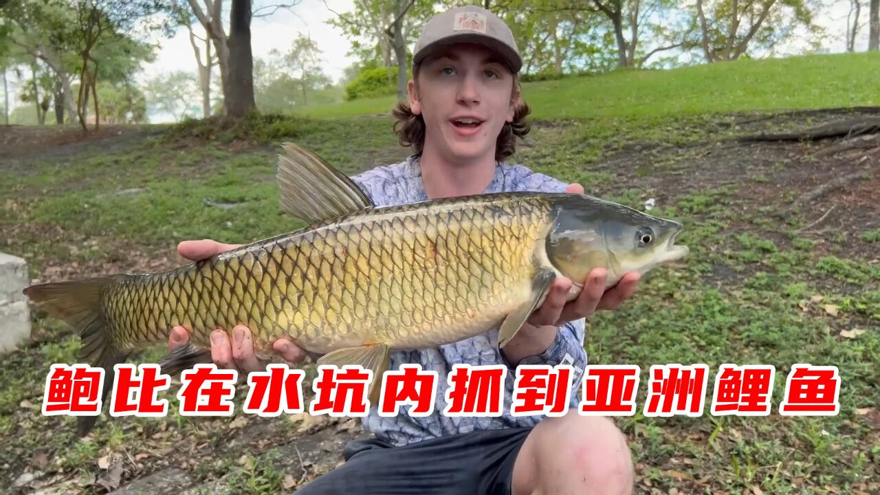 鲍比在水塘内抓获15斤的亚洲鲤鱼_高清1080P在线观看平台_腾讯视频