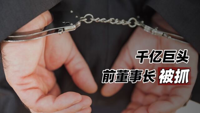 千亿巨头前董事长被抓