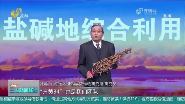 21位三农“大咖”齐聚,围绕九大主题盘点山东农业“新质生产力”