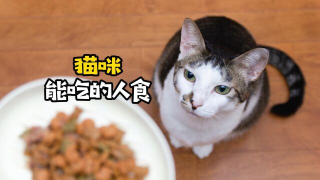 这6类人食,猫咪都能吃哦!