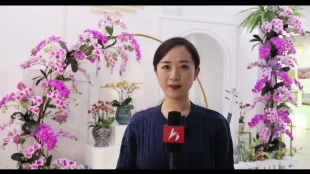 百益振兴农业公司在和政沃土上尽情“绽放”