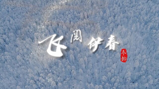 #飞阅大美伊春 体验冰雪森林