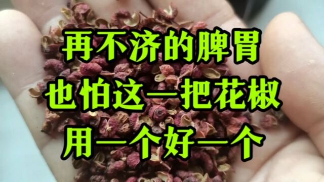 再不济的脾胃 也怕这一把花椒 用一个好一个