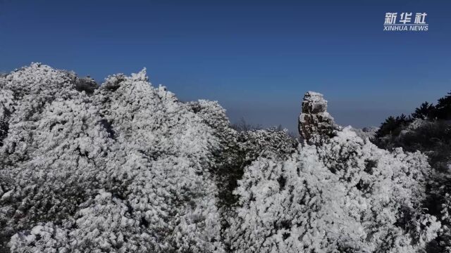 山西永济:中条山雾凇美如画