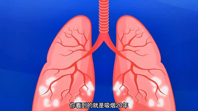 香烟是怎么批量制作出来的?看完会让你有戒掉的冲动