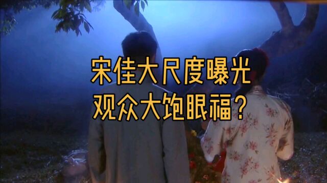 宋佳张颂文大尺度 什么戏份让观众直呼大饱眼福?