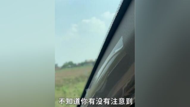 为什么汽车车窗上,会有许多黑色小圆点?它们有什么作用?