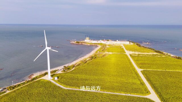 400多年的小渔村,成为威海网红打卡地:被评为国家级最美渔村