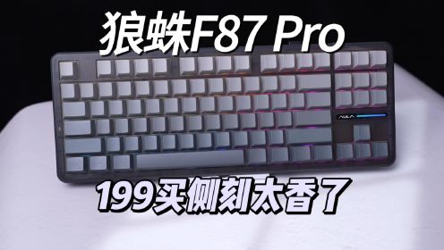 不到两百的狼蛛F87 Pro，真能赚钱吗？