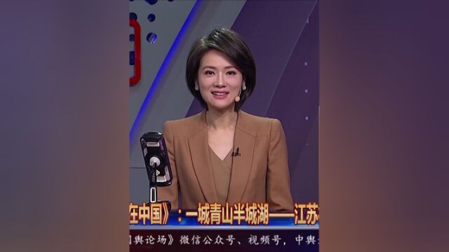 游子看故乡,共绘同心圆!爱在中国带您一同领略“一城青山半城湖”——江苏徐州的独特魅力.