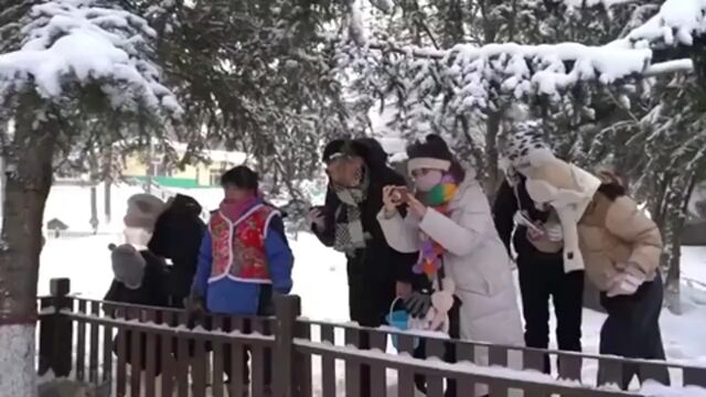 冰天雪地也是金山银山|东北虎娃嬉雪萌翻啦