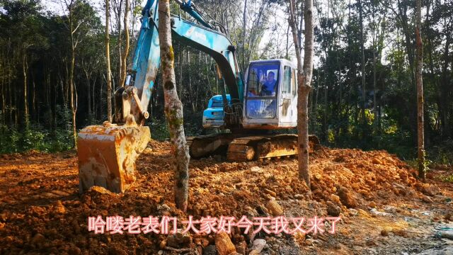 想在农村自建田园小院的看过来,小院改造填土工作的第八天了.