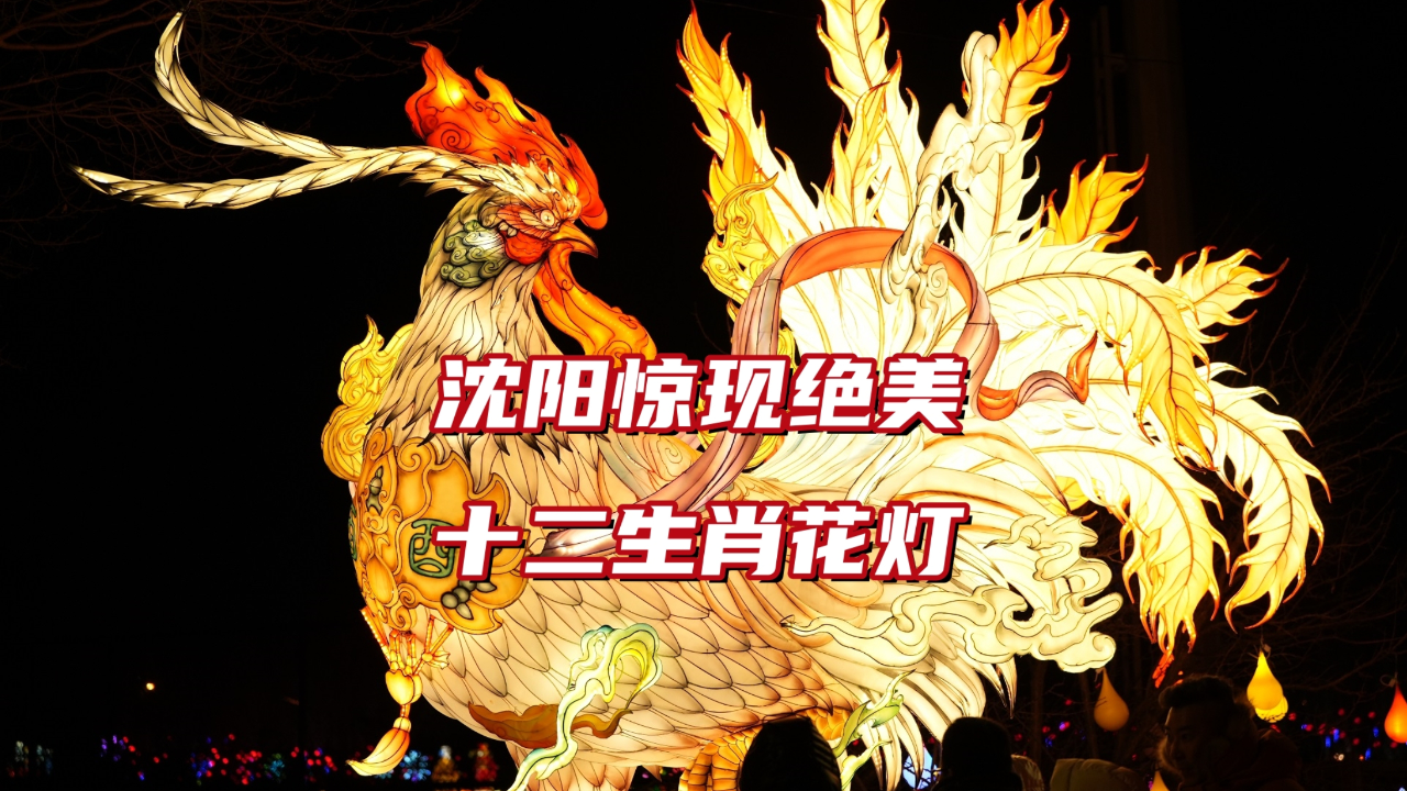 沈阳惊现绝美十二生肖彩灯,现场实拍分享,请认领属于你的那一盏